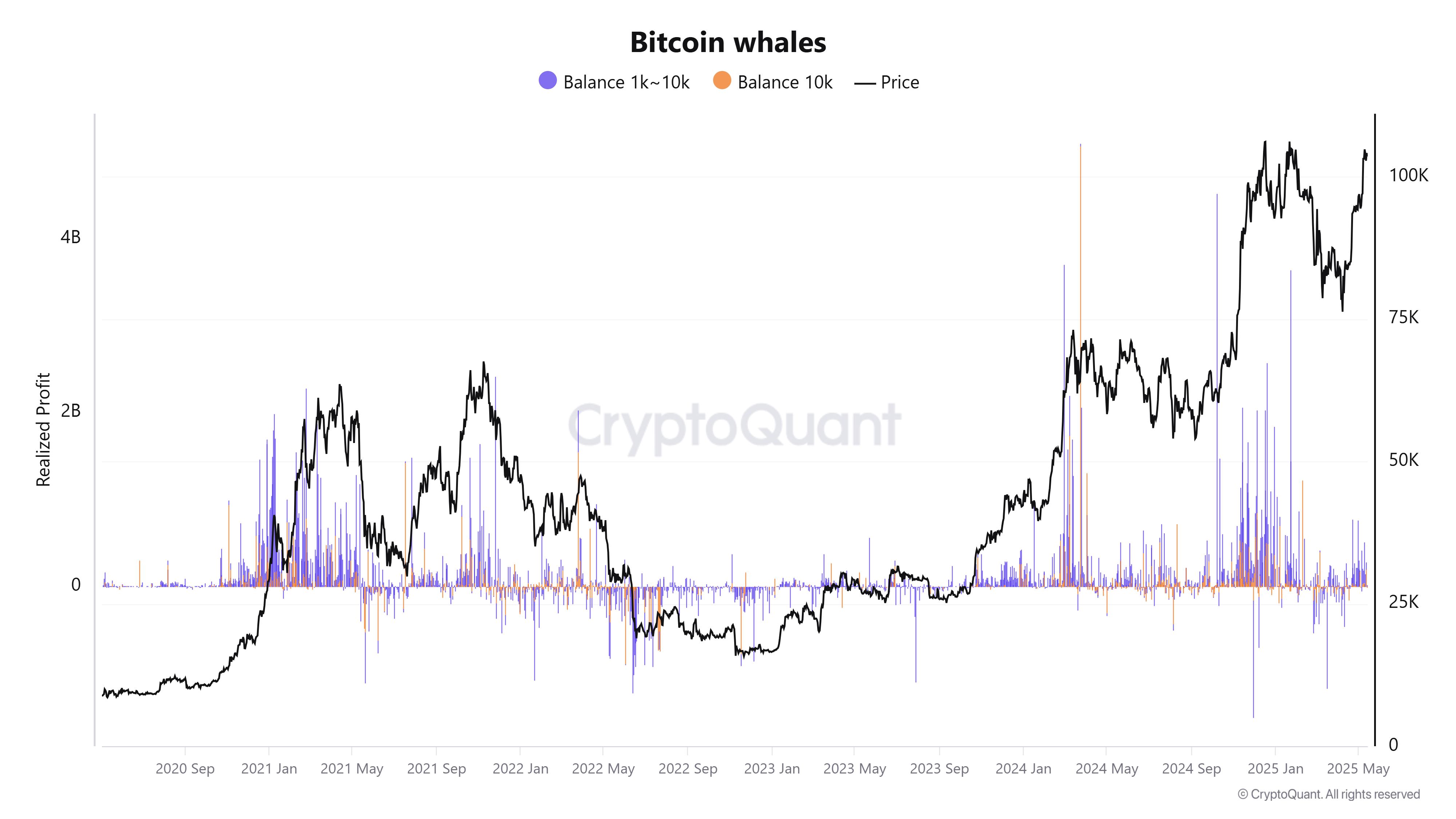 Cá voi Bitcoin