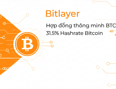 bitlayer hop dong thong minh btc nho 31 5 hashrate bitcoin