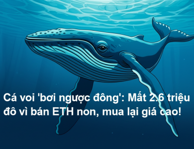 ca voi boi nguoc dong mat 2 6 trieu do vi ban eth non mua lai gia cao