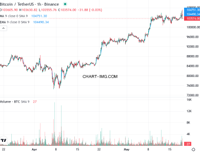 phan tich btcusd h1 19 05 2025 0400 quan sat