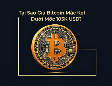 tai sao gia bitcoin mac ket duoi moc 105k usd