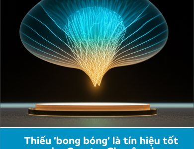 thieu bong bong la tin hieu tot cho crypto chuyen gia wisdomtree