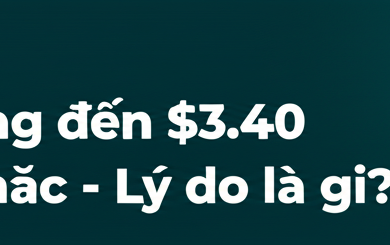 xrp duong den 3 40 van vung chac ly do la gi