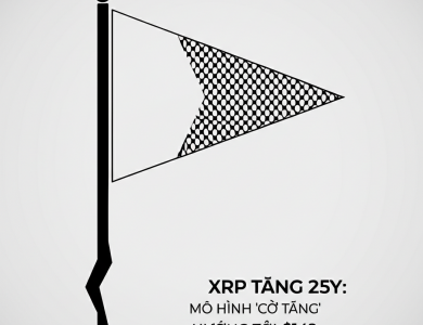 xrp tang 25 mo hinh co tang huong toi 14
