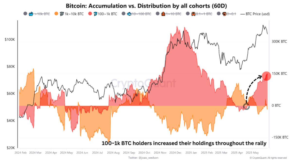 Bitcoin whale distribution data (screenshot). Source: CryptoQuant