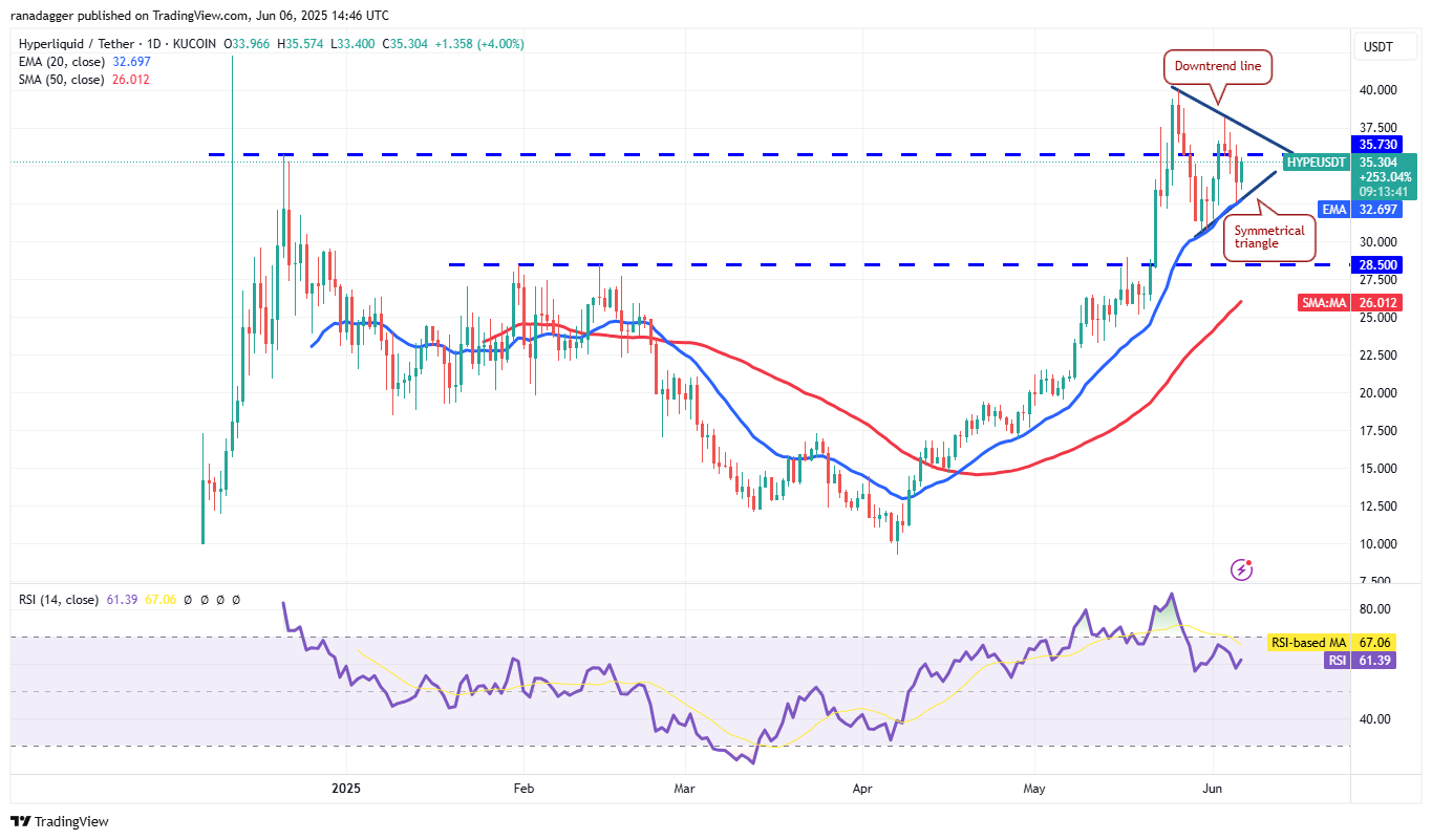 HYPE/USDT daily chart. Source: Cointelegraph/TradingView