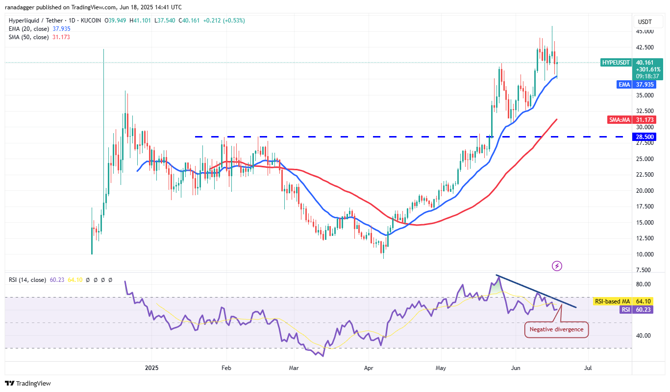 HYPE/USDT daily chart. Source: Cointelegraph/TradingView