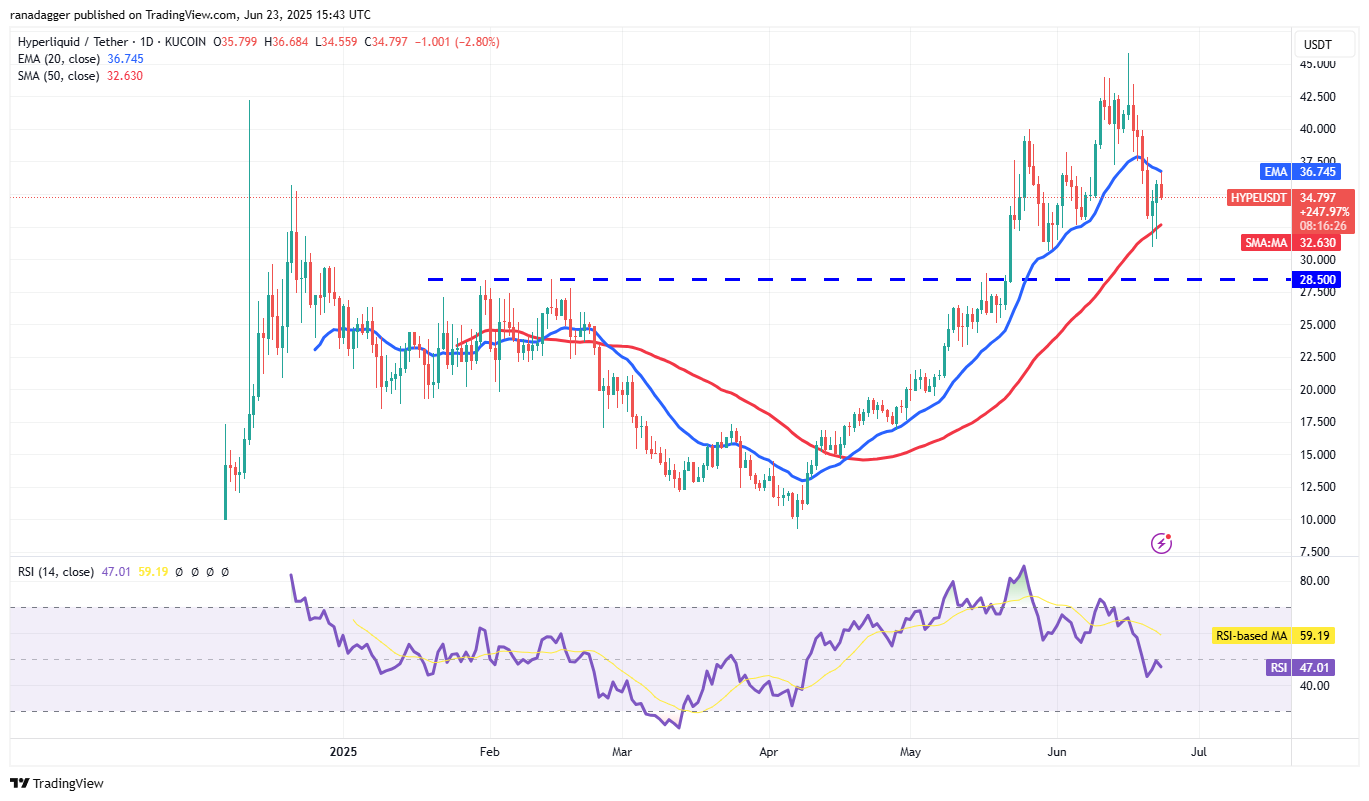 HYPE/USDT daily chart. Source: Cointelegraph/TradingView