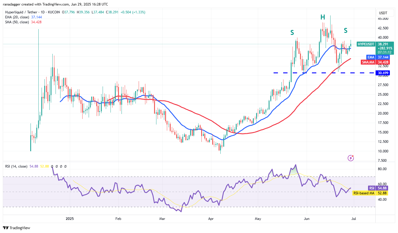 HYPE/USDT daily chart. Source: Cointelegraph/TradingView