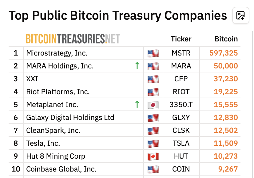 Top Bitcoin holders among public companies. Source: BitcoinTreasuries.net