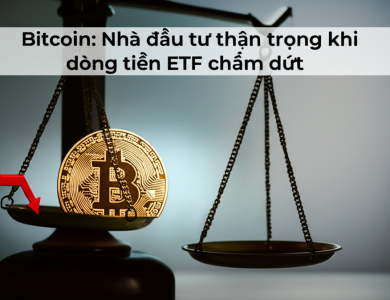 bitcoin nha dau tu than trong khi dong tien etf cham dut