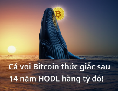 ca voi bitcoin thuc giac sau 14 nam hodl hang ty do