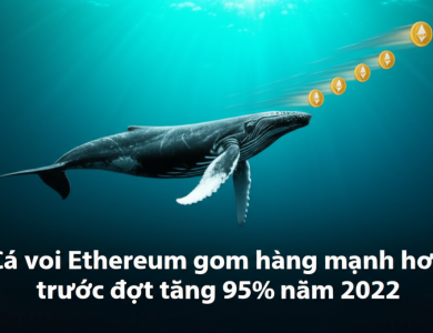 ca voi ethereum gom hang manh hon truoc dot tang 95 nam 2022