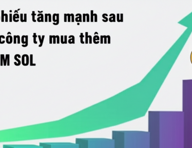 co phieu tang manh sau khi cong ty mua them 2 7m sol