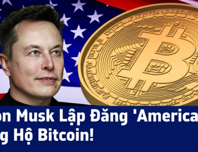 elon musk lap dang america ung ho bitcoin