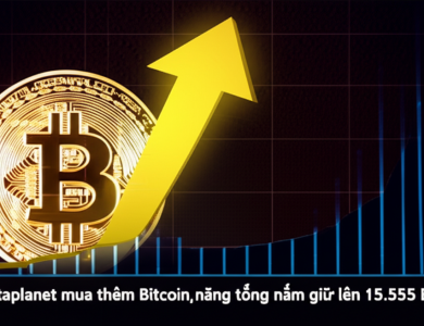 metaplanet mua them bitcoin nang tong nam giu len 15 555 btc