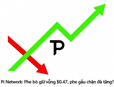 pi network phe bo giu vung 0 47 phe gau chan da tang