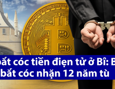 vu bat coc tien dien tu o bi ba ke bat coc nhan 12 nam tu